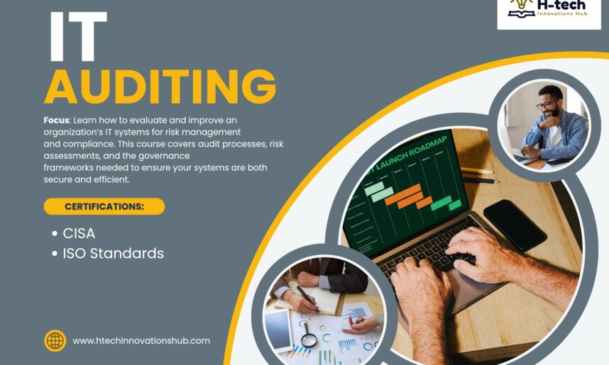 IT Auditing